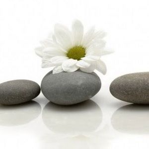 Meet your Posher, Shanetha